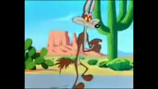 قسمت اخر کارتون رود رانر(میگ میگ)