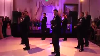 به این میگن داماد باحال