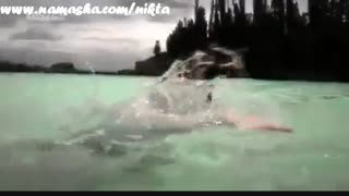 جاندی  فداکار مشو **** جاندیه فداکار-:-):-):-)