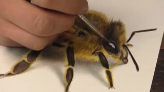 نقاشی سه بعدی-زنبور عسل