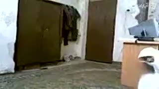 شوخی خرکی 2