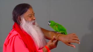 حرف زدن طوطی