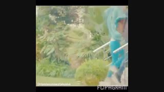 حکایت یک عشق