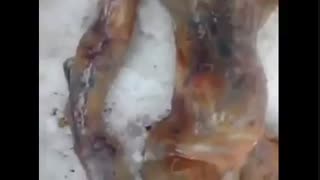 ادم فضایی...واااااقعی