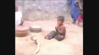بچه ای که با مار بازی میکنه