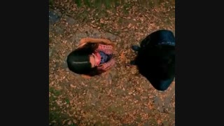 حکایت یک عشق تقدیم به گلرو جووونم