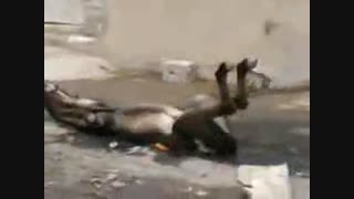 خخخخخخخخخخخ(حتما ببینید)