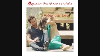 حکایت تقدیم به گلروو