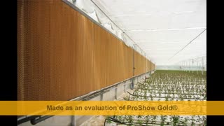 شرکت گلخانه سازی | 09125753841