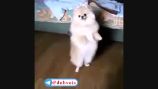 خیلی باحاله