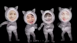 موزیک ویدیو مانستر ورژن گربه ای(خیلی باحاله)