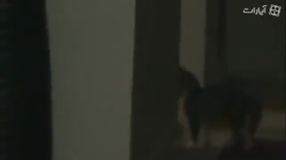 ! ! ! جن ها در خانه ی شما هستند ،،ترسناک و کاملا واقعی ! ! !