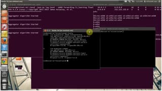 Mininet DDoS Aggregator - YouTube