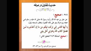 ابلاغ امامت امیرالمومنین علیه السلام در عرفه -  شبکه ولایت-استاد یزدانی-برنامه کلمه طیبه