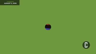 ویدیو خبر : اکران سال 2018 انیمیشن The Secret Life of Pets 2