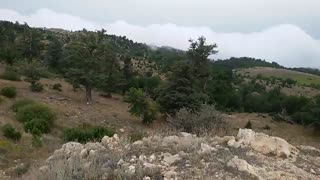 رمان بهم نمره چند میدی؟(توضیحات) (پارت33)