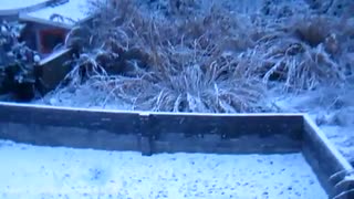 برف در بابلسر ،برف در مازندران92 -هنر وهواشناسی