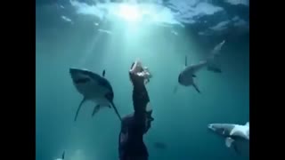 افسانه دریای آبی(جدید ترین فیلم لی مین هو)