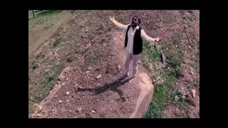 بابک قادری - سنجاقک