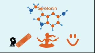 دانش مهربانی