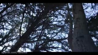 ❤موزیک ویدیو I Hate U I Love U❤