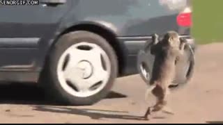 یعنی هلاک این دویدنشم...خخخخ