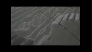 نقاشی سه بعدی در پارک چیتگر