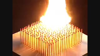 واکنش زنجیره ایی