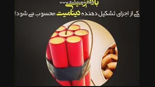 قدر بادام زمینی را بدانید