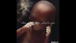 زمان رشد جنیین از روزه اول تا 9 ماه شدن جنین