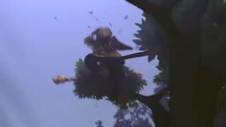 Monkey King Teaser-Dota 2