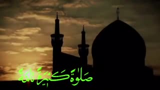 صلولت خاصه امام رضا (ع)