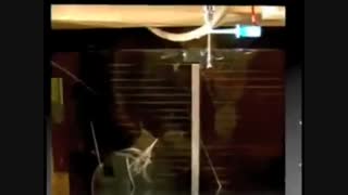 تولید نانو الیاف به روش الکتروریسی