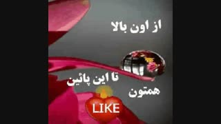 لایک ،لایک،لایک