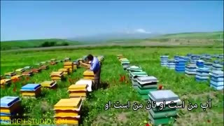 متصل - محسن چاوشی