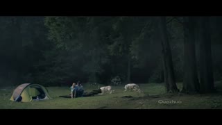 ویدئویی زیبا در مورد دوستی انسان و حیوان