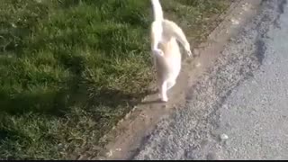 فازش چیه دقیقا؟؟؟