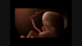 کشف یک معجزه قرآنی درباره جنین