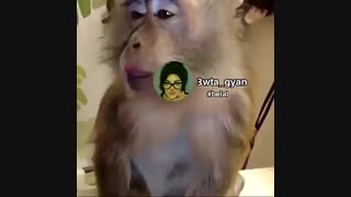 چه قِـری میده ایییییین