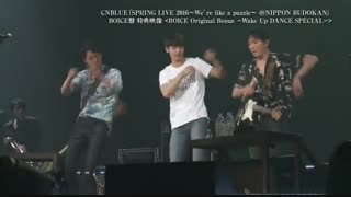 ویدئوی ویژه DVDهای تور We're Like A Puzzle بودوکان