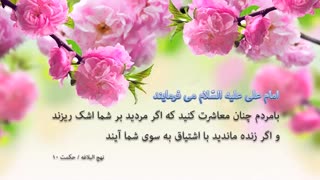 جملات حکیمانه امام علی علیه السلام (1)