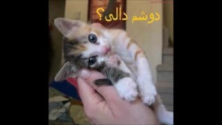 بگو ببینم منو دوست داری؟؟؟