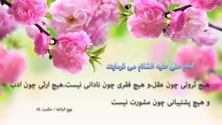 جملات حکیمانه امام علی علیه السلام (4)