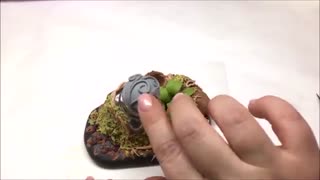 جا مرکبی طبیعت