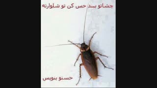 چه حسی داری؟؟؟؟