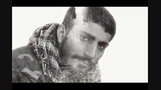 مدافعان حرم به روایت آقا