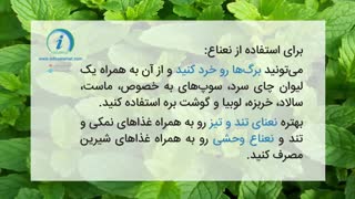 با خوردن نعناع دستگاه گوارش خودتون رو بیمه کنید