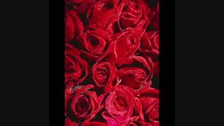 از همتون دلخورم.... .