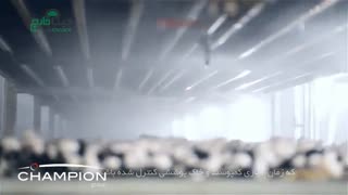 آبیاری اتوماتیک قارچ دکمه ای