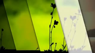 جناب آقای دکتر علیرضا شیری و پزشکان محترم خانه توانگری طوبی روز پزشک مبارک